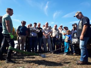 So simuliert man einen Baum am Bergeworkshop