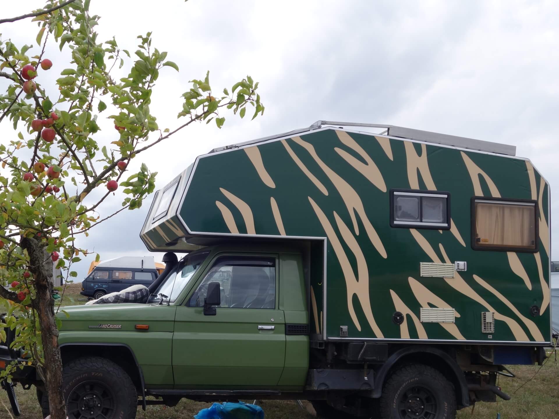 Buschtaxi-Treffen- Zebra in Grün